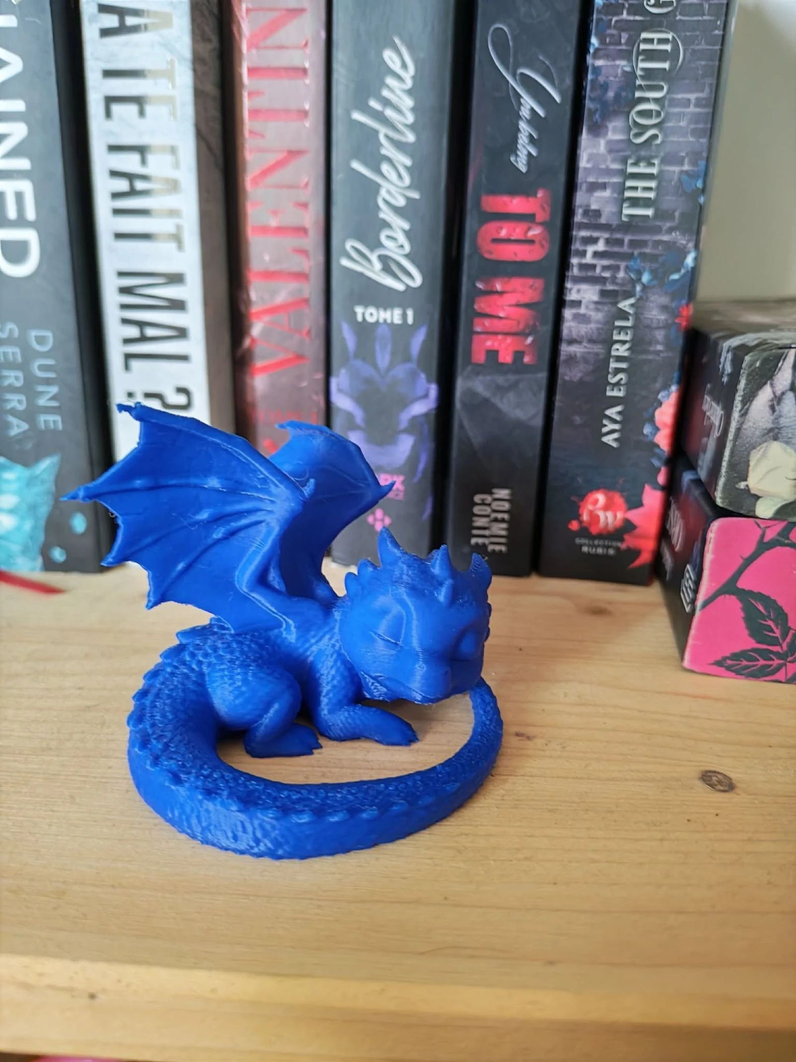 Sleeping Dragon – photo 4